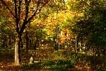 Cheongdam Park (청담공원)