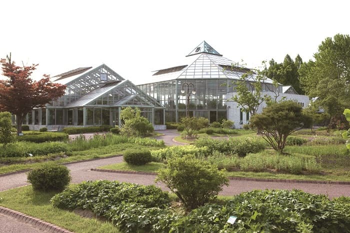 Gangwon Provincial Arboretum (강원도립화목원)