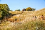 Myeongseongsan Silver Grass Field (명성산 억새밭)