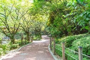 도덕산공원