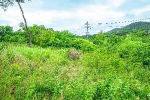 삼거동 고인돌