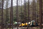 Cheongoksan National Recreational Forest (국립 청옥산자연휴양림)