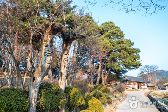 Oeam Folk Village (외암민속마을)