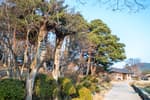 Oeam Folk Village (외암민속마을)