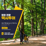 Pyeongchang Sightseeing Taxi Platform (평창관광택시(관광택시 플랫폼))