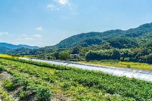 서당마을