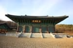 경북 군위의 특별한 체험