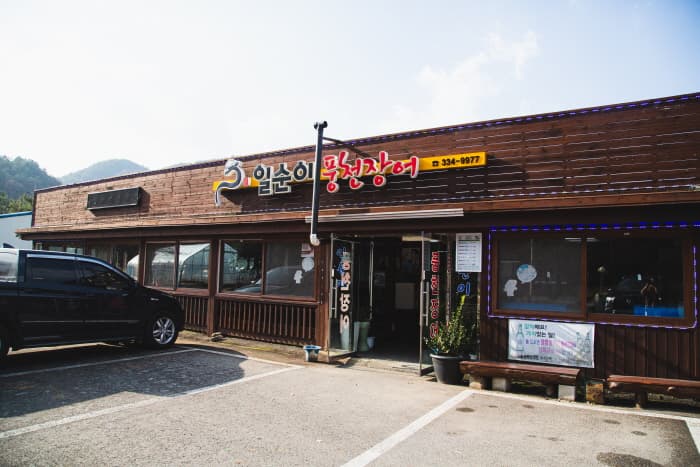 일순이풍천장어