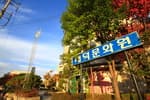 대덕문화원