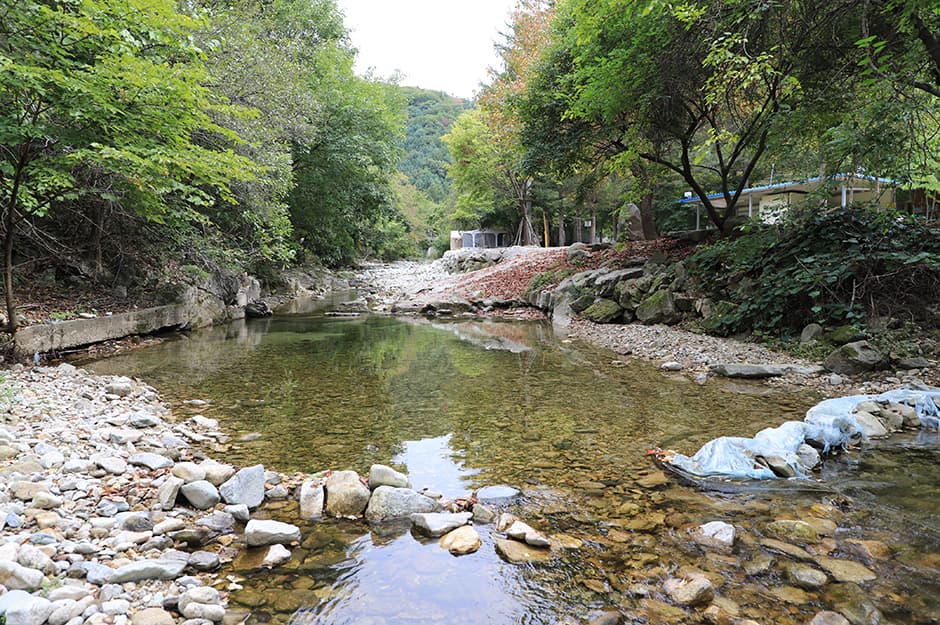 공작산계곡 오토캠핑장