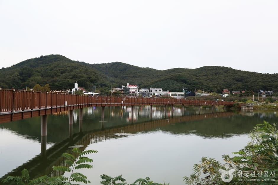 물왕호수