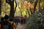 Songnisan National Park (Chungcheongbuk-do Section) [속리산국립공원(충북)]