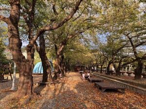 경화역공원