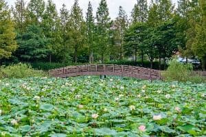 봉담호수공원