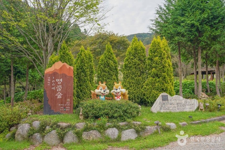 숲정원 윤제림