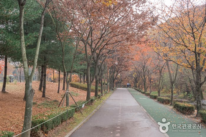 Yuldong Park (율동공원)