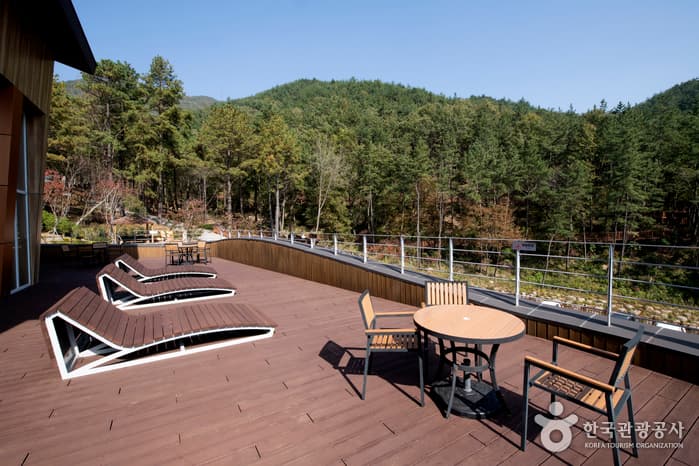 Baegunsan Recreational Forest (백운산자연휴양림)