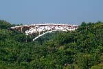 Seonimgyo Bridge (선임교)