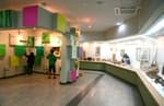 Korea Bamboo Museum (한국대나무박물관)