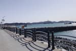 Boryeong Jukdo Island (죽도 (보령))