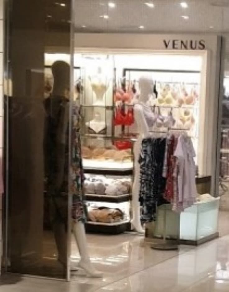 비너스