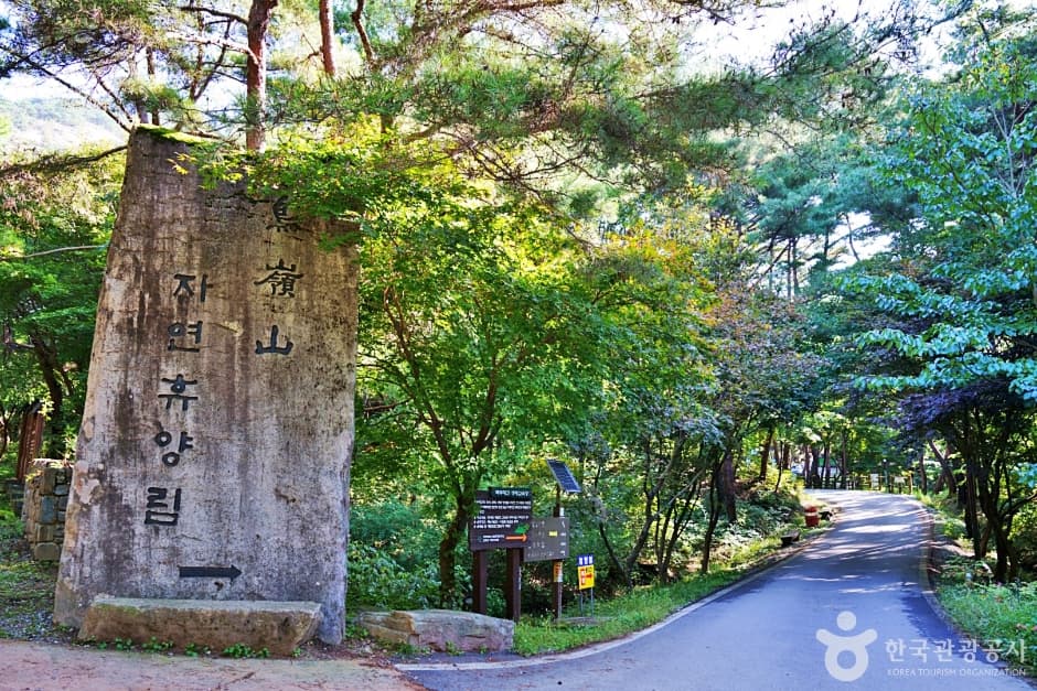 Joryeongsan Recreational Forest (조령산자연휴양림)