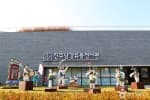 Somangjinsan Lantern Theme Park (소망진산 유등테마공원)