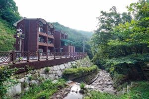 산삼 자연휴양림