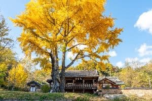 예안향교