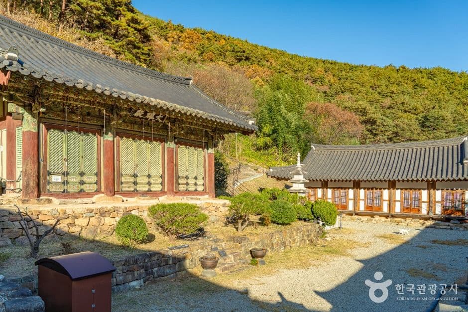 장육사