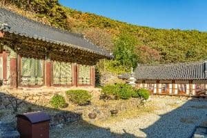 장육사