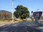 충남 금산 약초 인삼 쇼핑코스