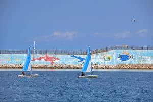 수산항 낚시터