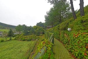 봉산서재