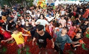 퇴촌토마토거리축제