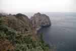 Turtle Rock & Natural Wild Juniper Habitat (거북바위 및 향나무 자생지 (울릉도, 독도 국가지질공원))