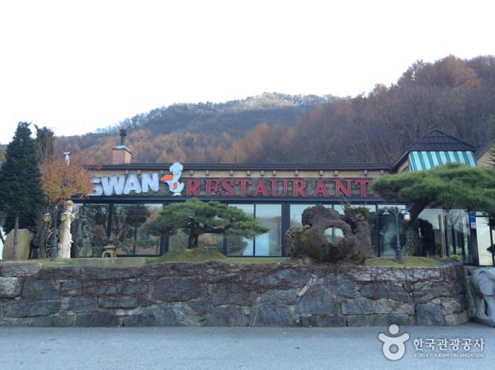 스완