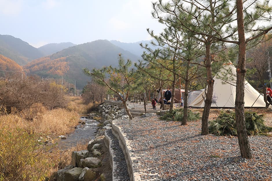 치악산한다리골캠핑장