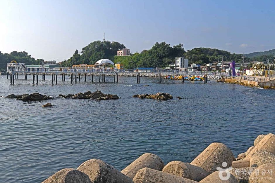 Daejinhang Port (대진항)
