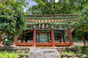 광제정