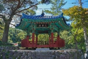 육모정