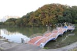 Gongjicheon Stream (Gold Scales Theme Street) (공지천(황금비늘테마거리))