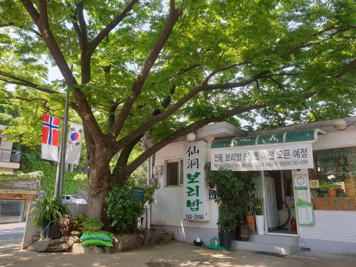 선동보리밥