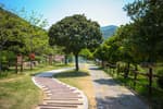 Wando Arboretum (완도수목원)