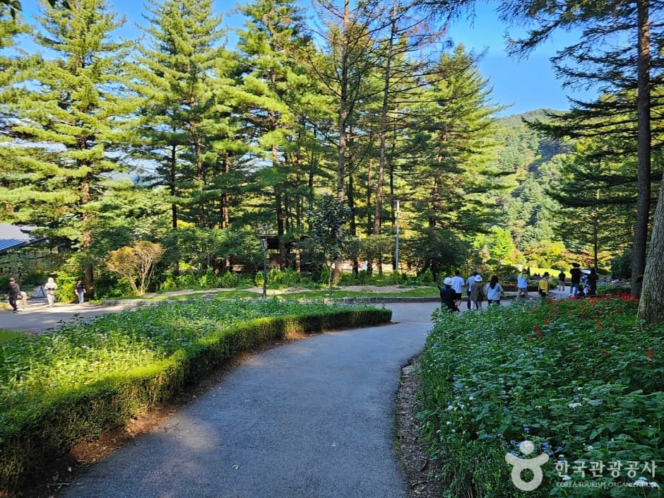 The Garden of Morning Calm (아침고요수목원)
