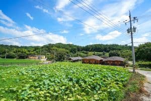 사기아름마을