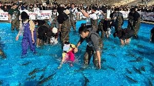 홍천강 꽁꽁축제