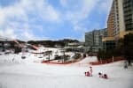 Welli Hilli Park Snow Park (웰리힐리파크 스노우파크)