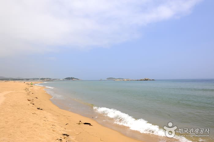 (고성) 타박타박 해파랑길 걸으며, 별미 여행