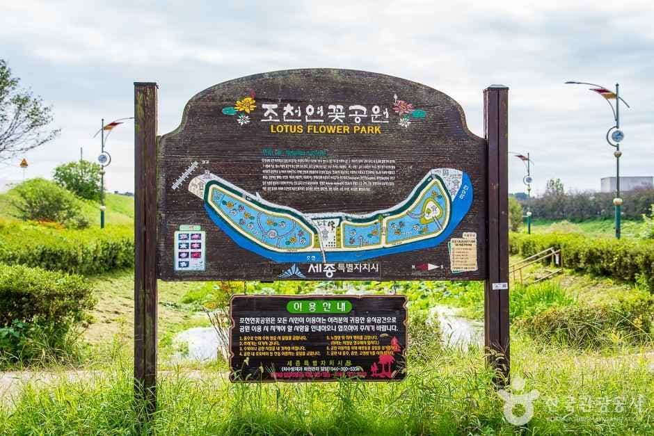 Jocheon Lotus Park (조천연꽃공원)